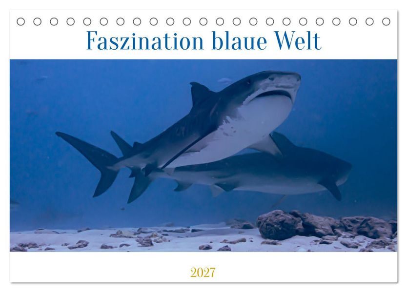 Faszination blaue Welt (Tischkalender 2027 DIN A5 quer) CALVENDO Monatskalender