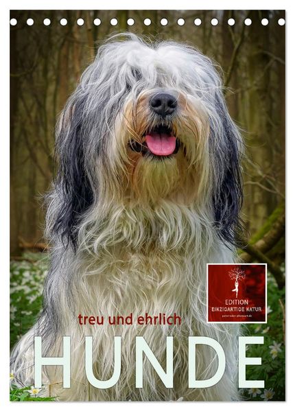 Hunde - treu und ehrlich (Tischkalender 2027 DIN A5 hoch) CALVENDO Monatskalender