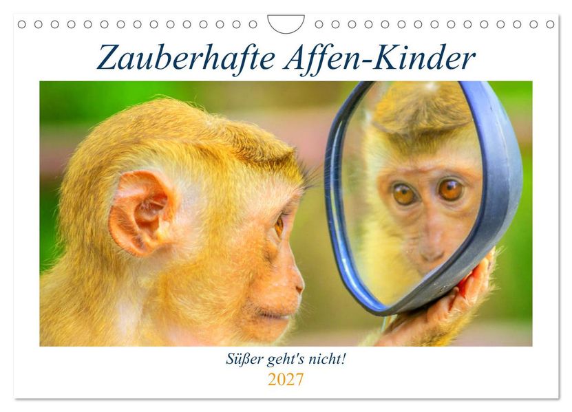 Zauberhafte Affenkinder. Süßer gehts nicht! (Wandkalender 2027 DIN A4 quer) CALVENDO Monatskalender