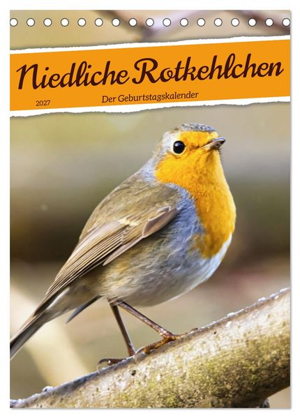 Niedliche Rotkehlchen (Tischkalender 2027 DIN A5 hoch) CALVENDO Monatskalender