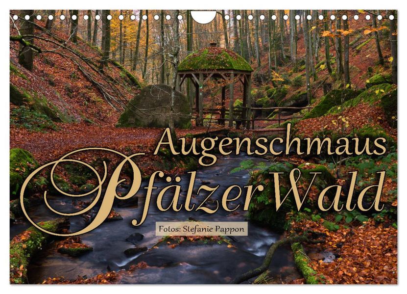 Augenschmaus Pfälzer Wald (Wandkalender 2027 DIN A4 quer) CALVENDO Monatskalender