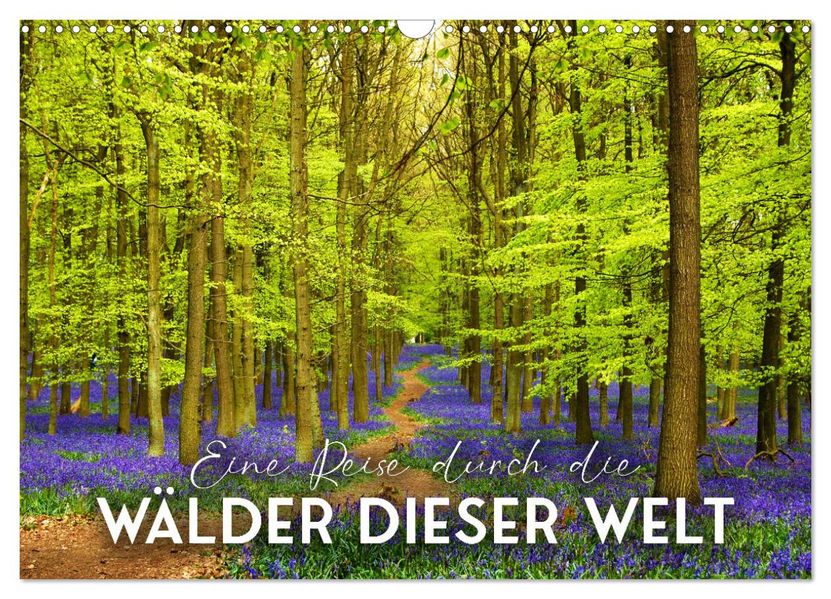Eine Reise durch die Wälder dieser Welt (Wandkalender 2027 DIN A3 quer) CALVENDO Monatskalender