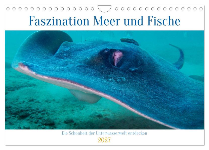 Faszination Meer und Fische (Wandkalender 2027 DIN A4 quer) CALVENDO Monatskalender