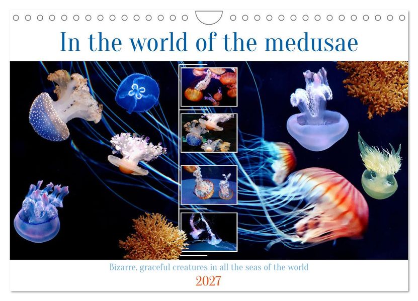 In the world of the medusae (Wall Calendar 2027 DIN A4 landscape) CALVENDO 12 Month Wall Calendar
