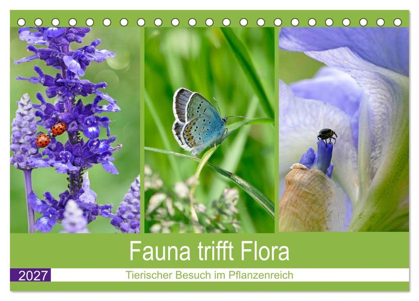 Fauna trifft Flora - Tierischer Besuch im Pflanzenreich (Tischkalender 2027 DIN A5 quer) CALVENDO Monatskalender
