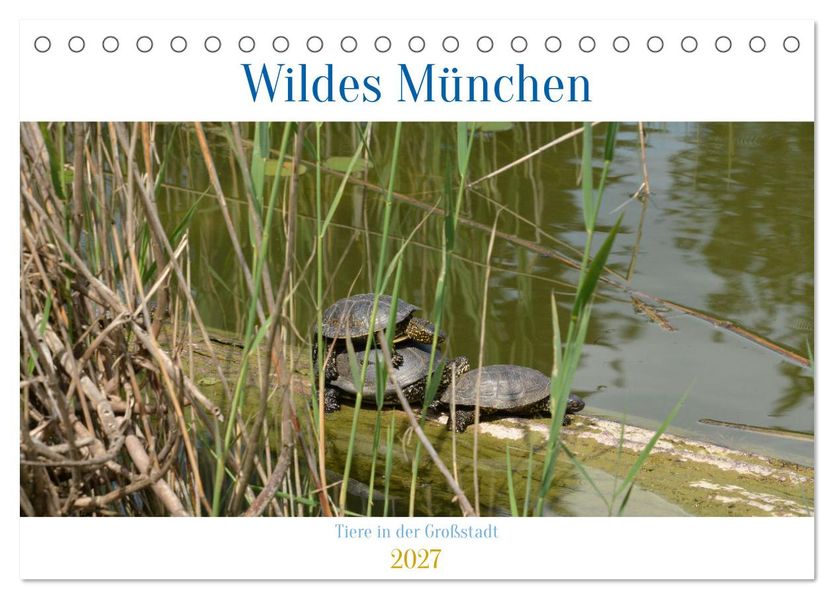 Wildes München (Tischkalender 2027 DIN A5 quer) CALVENDO Monatskalender