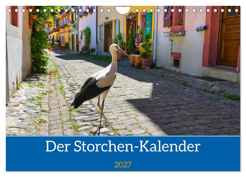 Der Storchenkalender (Wandkalender 2027 DIN A4 quer) CALVENDO Monatskalender