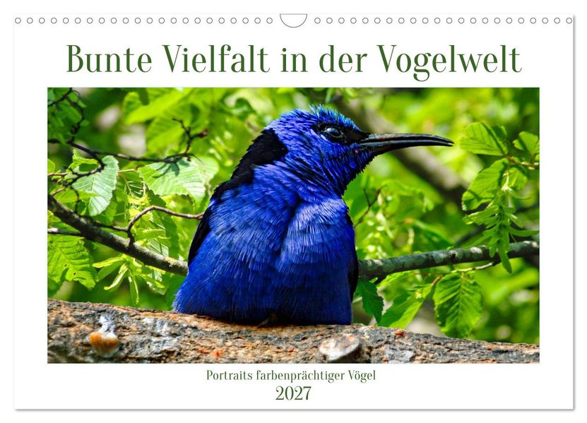 Bunte Vielfalt in der Vogelwelt (Wandkalender 2027 DIN A3 quer) CALVENDO Monatskalender