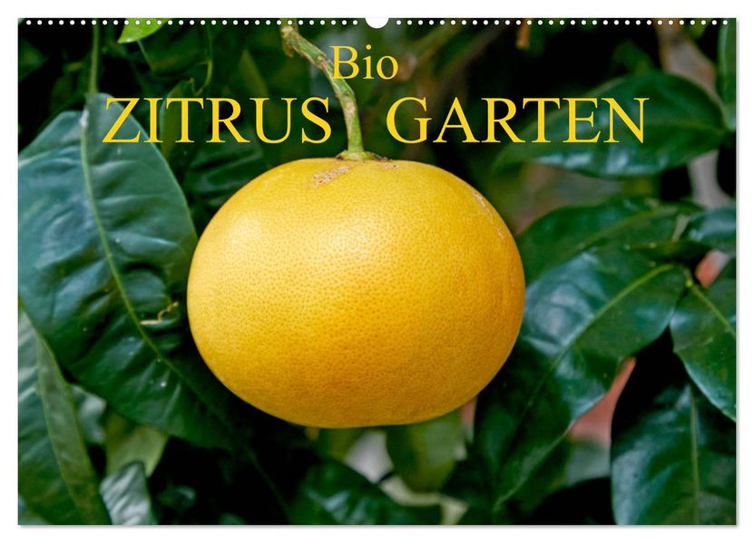 Bio Zitrus Garten (Wandkalender 2027 DIN A2 quer) CALVENDO Monatskalender