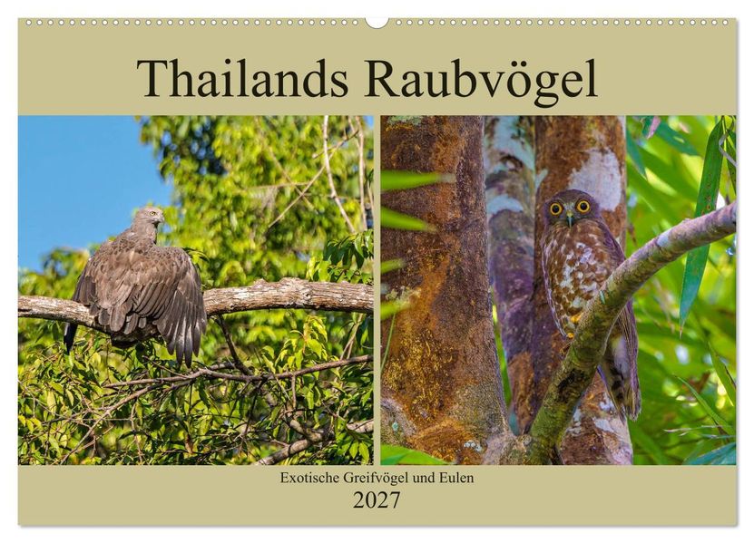 THAILANDS RAUBVÖGEL Exotische Greifvögel und Eulen (Wandkalender 2027 DIN A2 quer) CALVENDO Monatskalender