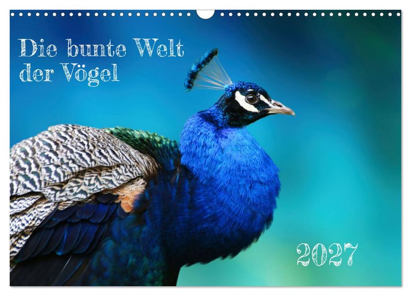 Die bunte Welt der Vögel (Wandkalender 2027 DIN A3 quer) CALVENDO Monatskalender