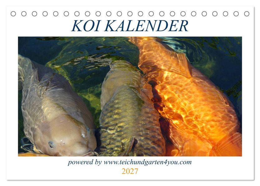 Koikichi Kalender 2027 (Tischkalender 2027 DIN A5 quer) CALVENDO Monatskalender
