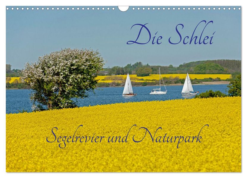 Die Schlei - Segelrevier und Naturpark (Wandkalender 2027 DIN A3 quer) CALVENDO Monatskalender