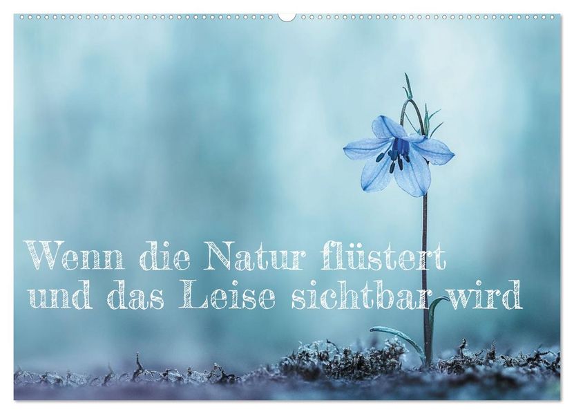 Wenn die Natur flüstert und das Leise sichtbar wird (Wandkalender 2027 DIN A2 quer) CALVENDO Monatskalender