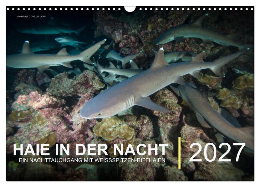 Haie in der Nacht (Wandkalender 2027 DIN A3 quer) CALVENDO Monatskalender
