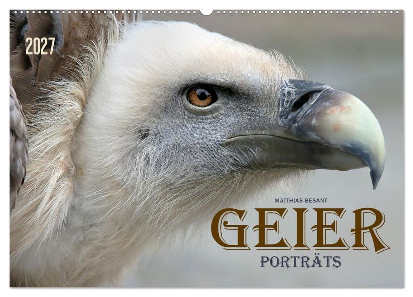 GEIERPORTRÄTS (Wandkalender 2027 DIN A2 quer) CALVENDO Monatskalender