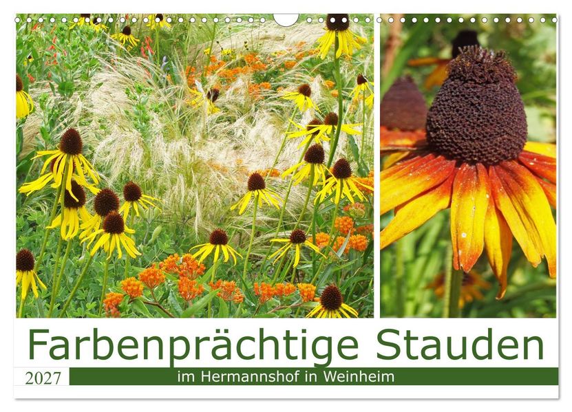 Farbenprächtige Stauden im Hermannshof in Weinheim (Wandkalender 2027 DIN A3 quer) CALVENDO Monatskalender