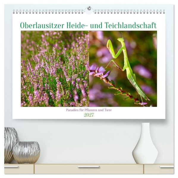 Oberlausitzer Heide- und Teichlandschaft (hochwertiger Premium Wandkalender 2027 DIN A2 quer) Kunstdruck in Hochglanz