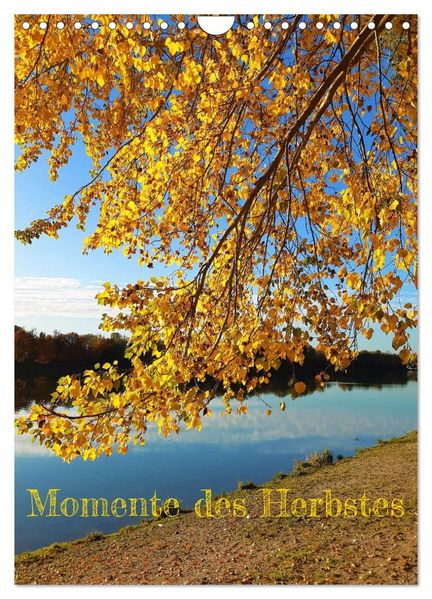 Momente des Herbstes (Wandkalender 2027 DIN A4 hoch) CALVENDO Monatskalender