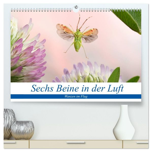 Sechs Beine in der Luft - Wanzen im Flug (hochwertiger Premium Wandkalender 2027 DIN A2 quer) Kunstdruck in Hochglanz