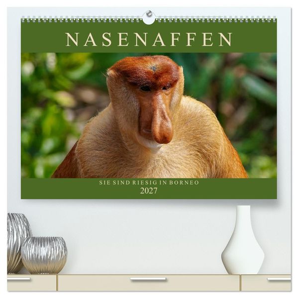 Nasenaffen von Borneo (hochwertiger Premium Wandkalender 2027 DIN A2 quer) Kunstdruck in Hochglanz