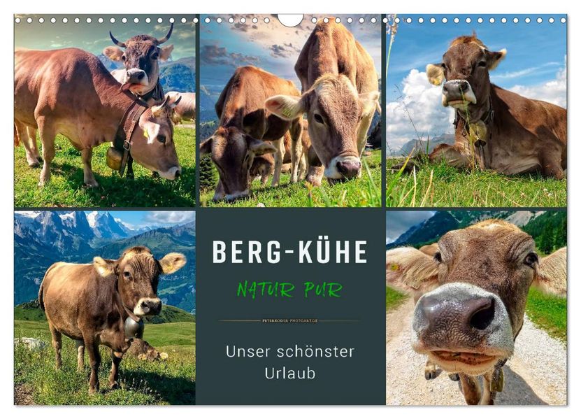 Berg-Kühe Natur pur - unser schönster Urlaub (Wandkalender 2027 DIN A3 quer) CALVENDO Monatskalender