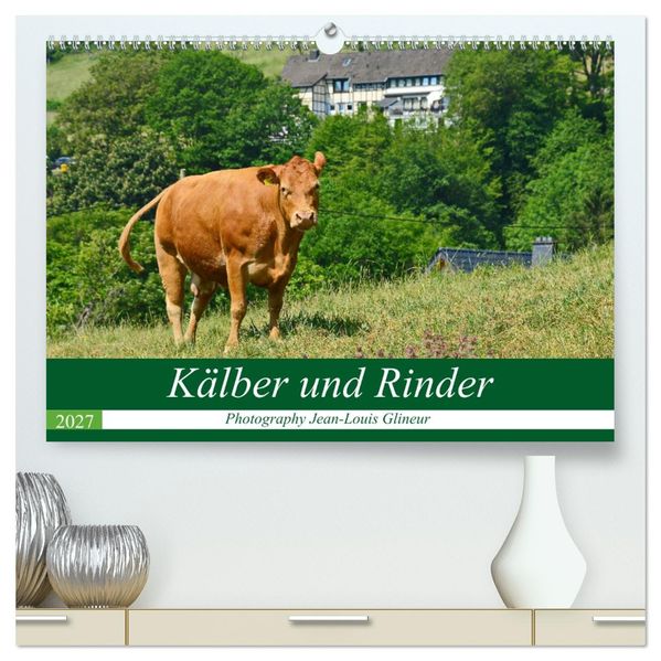 Kälber und Rinder (hochwertiger Premium Wandkalender 2027 DIN A2 quer) Kunstdruck in Hochglanz