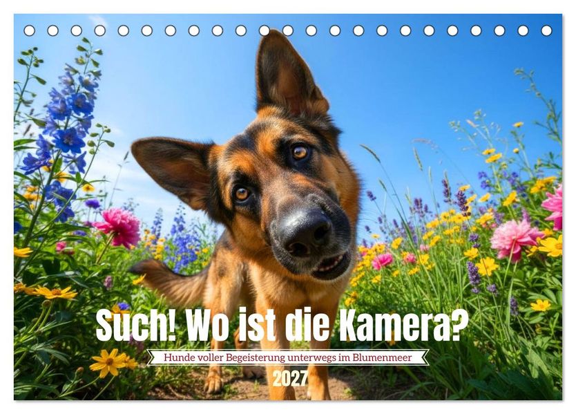 Such! Wo ist die Kamera? (Tischkalender 2027 DIN A5 quer) CALVENDO Monatskalender
