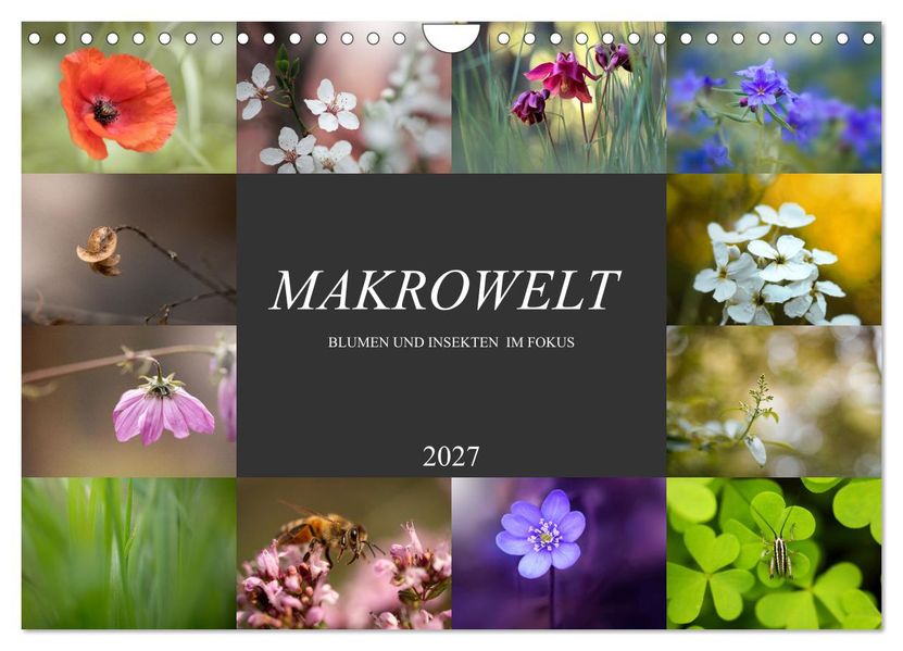 Makrowelt - Blumen und Insekten im Fokus (Wandkalender 2027 DIN A4 quer) CALVENDO Monatskalender