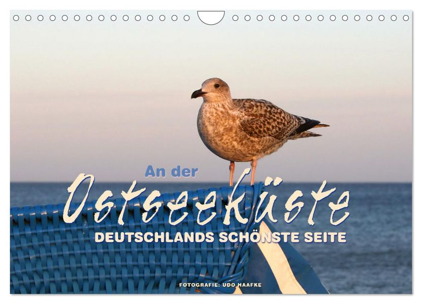 An der Ostseeküste - Deutschlands schönste Seite (Wandkalender 2027 DIN A4 quer) CALVENDO Monatskalender