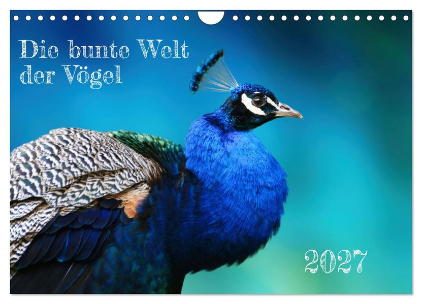 Die bunte Welt der Vögel (Wandkalender 2027 DIN A4 quer) CALVENDO Monatskalender