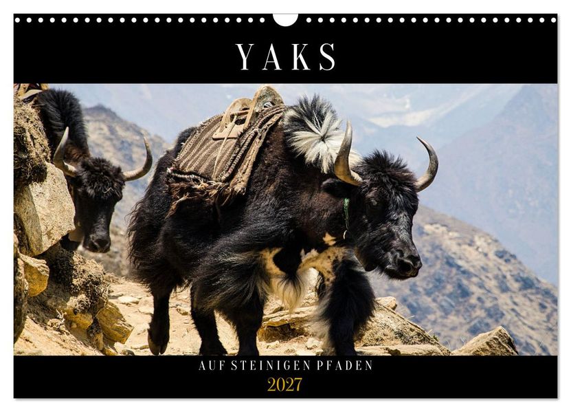 Yaks - auf steinigen Pfaden (Wandkalender 2027 DIN A3 quer) CALVENDO Monatskalender