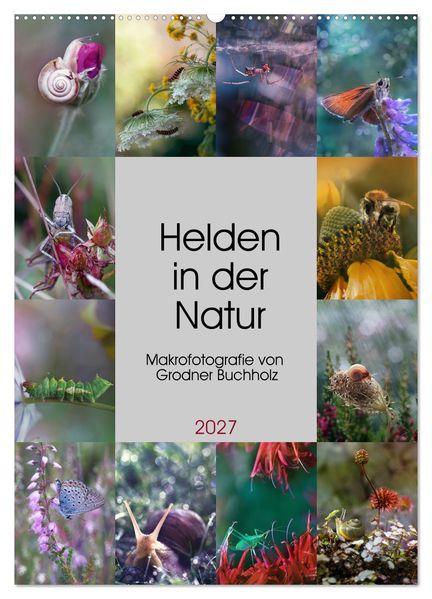 Helden in der Natur (Wandkalender 2027 DIN A2 hoch) CALVENDO Monatskalender