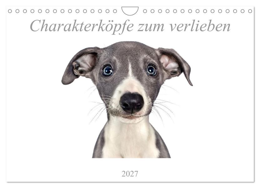Charakterköpfe zum verlieben (Wandkalender 2027 DIN A4 quer) CALVENDO Monatskalender