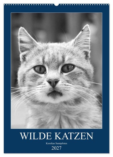 Wilde Katzen - Korsikas Samtpfoten (Wandkalender 2027 DIN A2 hoch) CALVENDO Monatskalender