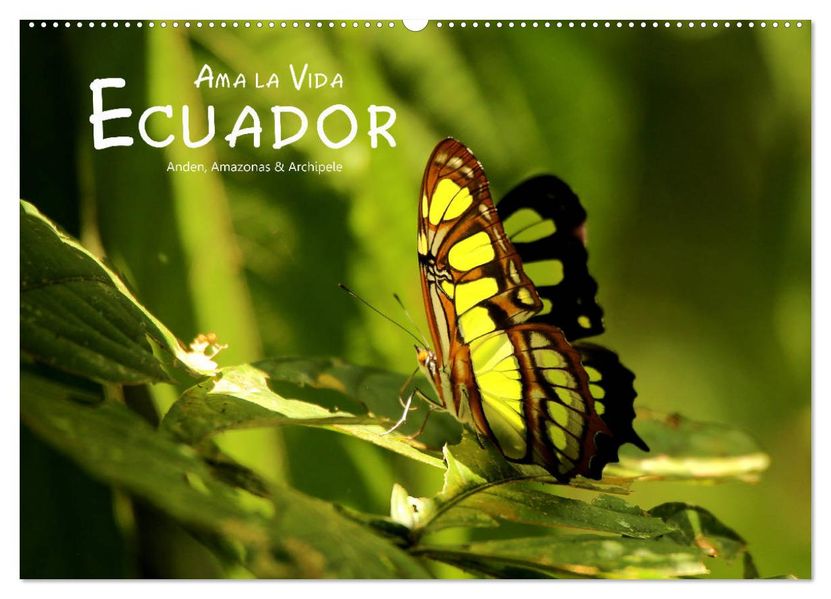 Ama la Vida Ecuador (Wandkalender 2027 DIN A2 quer) CALVENDO Monatskalender