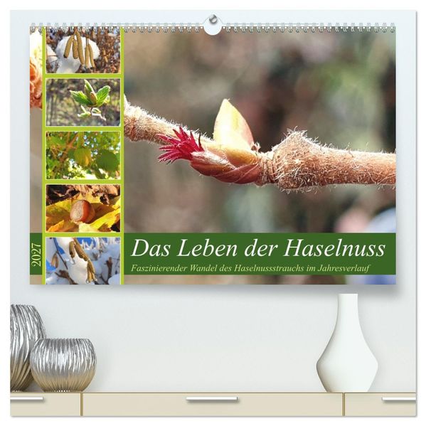 Das Leben der Haselnuss (hochwertiger Premium Wandkalender 2027 DIN A2 quer) Kunstdruck in Hochglanz