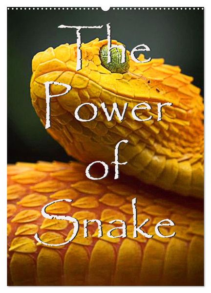 The Power Of Snake (Wandkalender 2027 DIN A2 hoch) CALVENDO Monatskalender