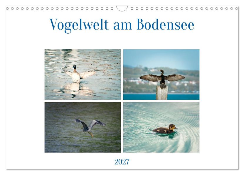 Vogelwelt am Bodensee 2027 (Wandkalender 2027 DIN A3 quer) CALVENDO Monatskalender