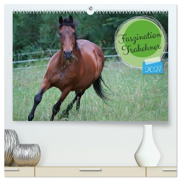 Faszination Trakehner (hochwertiger Premium Wandkalender 2027 DIN A2 quer) Kunstdruck in Hochglanz