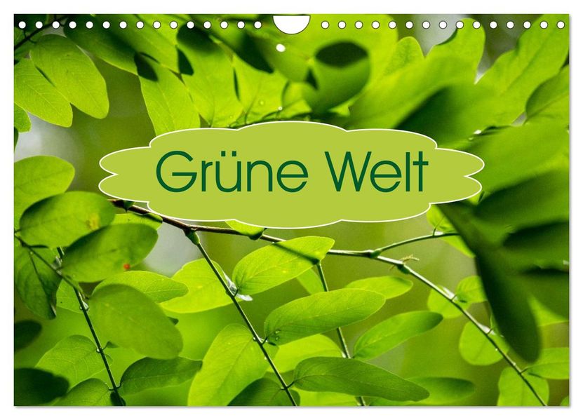Grüne Welten (Wandkalender 2027 DIN A4 quer) CALVENDO Monatskalender