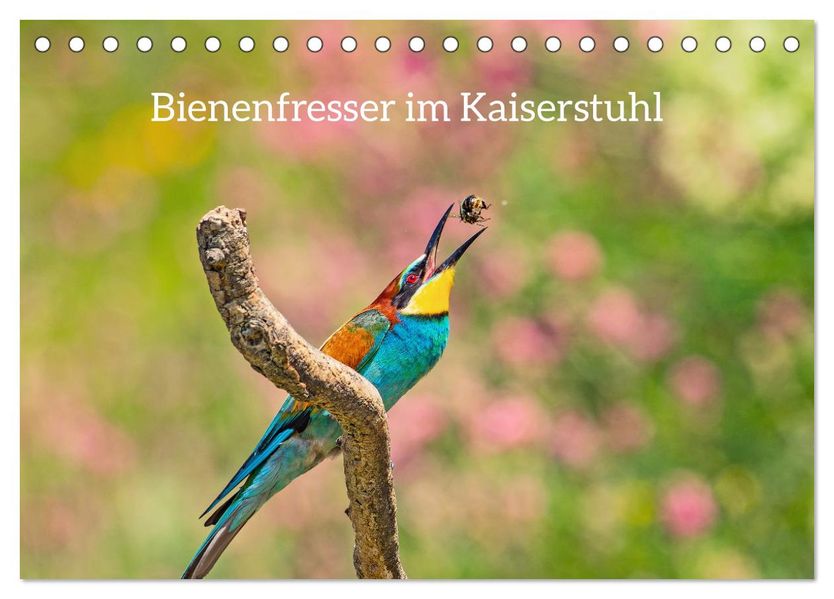 Bienenfresser im Kaiserstuhl (Tischkalender 2027 DIN A5 quer) CALVENDO Monatskalender