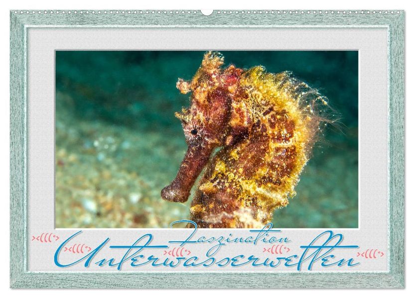 Faszination Unterwasserwelten (Wandkalender 2027 DIN A2 quer) CALVENDO Monatskalender