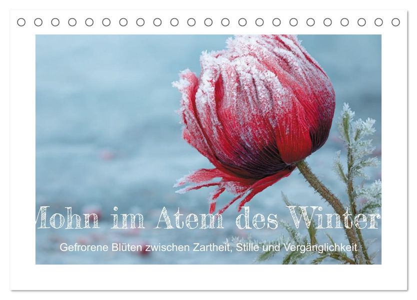 Mohn im Atem des Winters (Tischkalender 2027 DIN A5 quer) CALVENDO Monatskalender