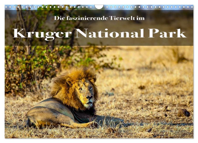 Faszinierende Tierwelt des Kruger National Parks (Wandkalender 2027 DIN A3 quer) CALVENDO Monatskalender