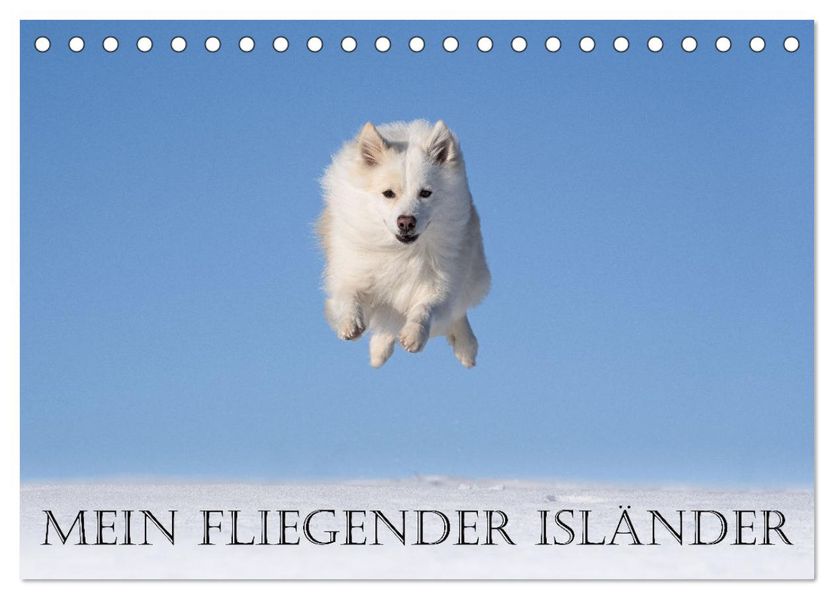 Mein fliegender Isländer (Tischkalender 2027 DIN A5 quer) CALVENDO Monatskalender
