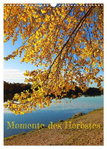 Momente des Herbstes (Wandkalender 2027 DIN A3 hoch) CALVENDO Monatskalender