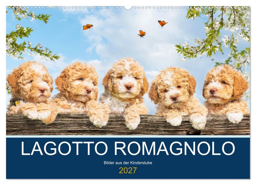 Lagotto Romagnolo - Bilder aus der Kinderstube (Wandkalender 2027 DIN A2 quer) CALVENDO Monatskalender