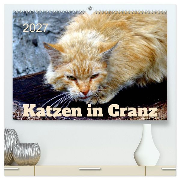 Katzen in Cranz (hochwertiger Premium Wandkalender 2027 DIN A2 quer) Kunstdruck in Hochglanz