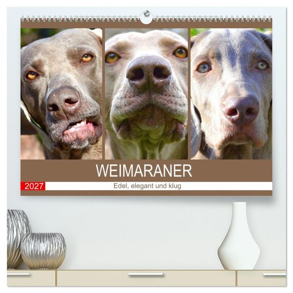 Weimaraner. Edel elegant und klug (hochwertiger Premium Wandkalender 2027 DIN A2 quer) Kunstdruck in Hochglanz